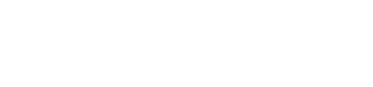 Automotive Partner